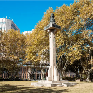 上海同济大学建筑学院领导考察中国墙艺博物馆（sinoawm）